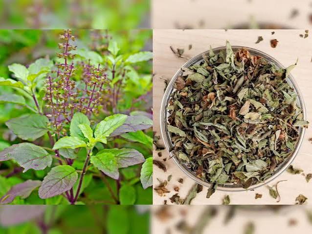 Tulsi Patta (तुलसी पत्ती)